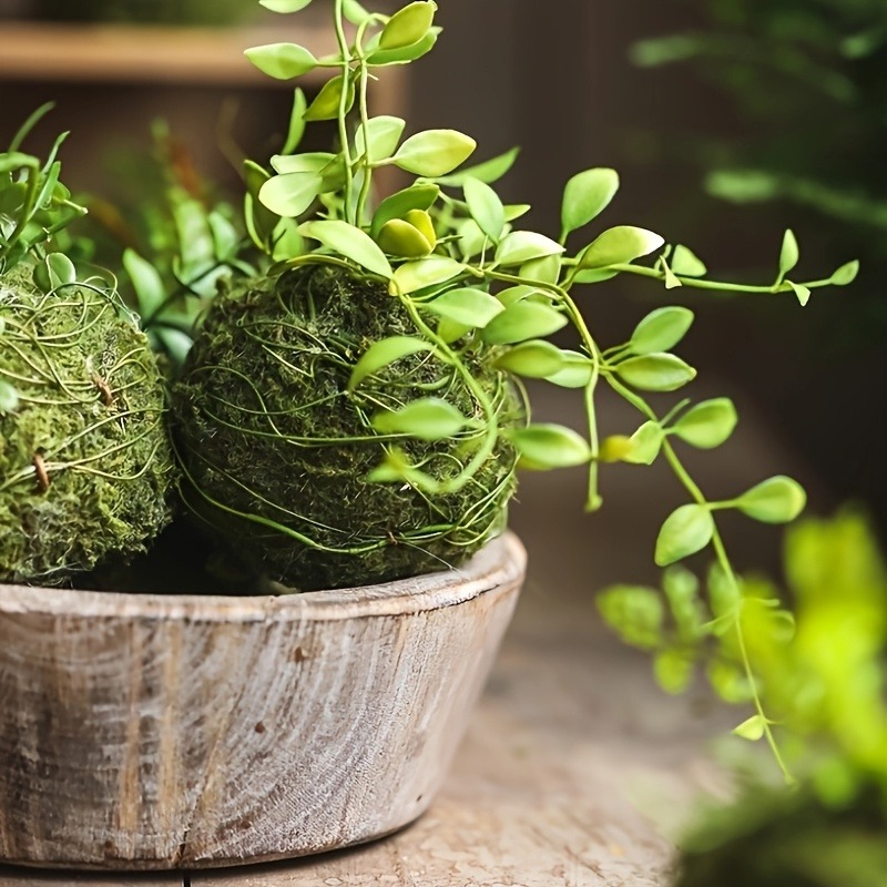 Kunstmatige mosbal plantenbak, - Sphagnum Moss Dry recensie en prijs