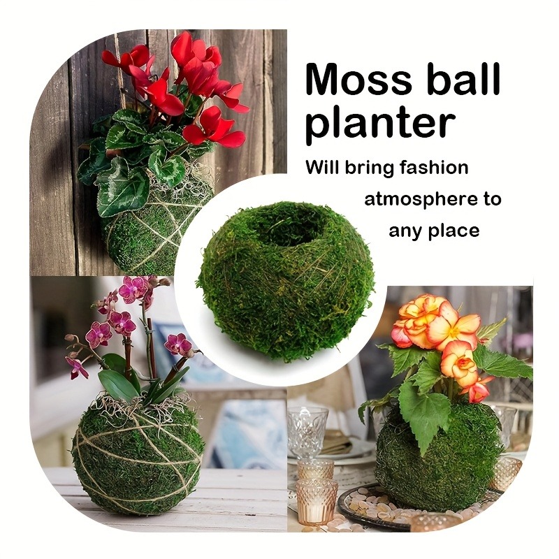 Kunstmatige mosbal plantenbak, - Sphagnum Moss Dry recensie en prijs