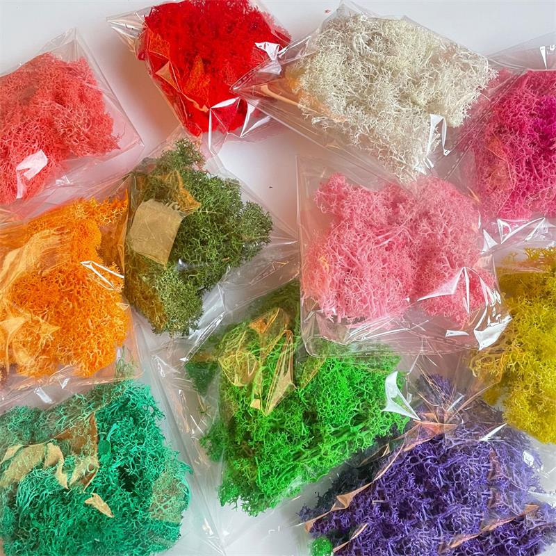 20-200g Kunstmatige Groene Pla - Sphagnum Moss Dry recensie en prijs