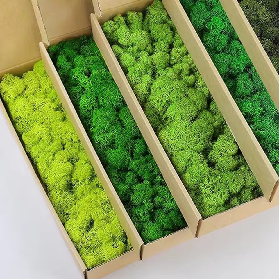 20-200g Kunstmatige Groene Pla - Sphagnum Moss Dry recensie en prijs