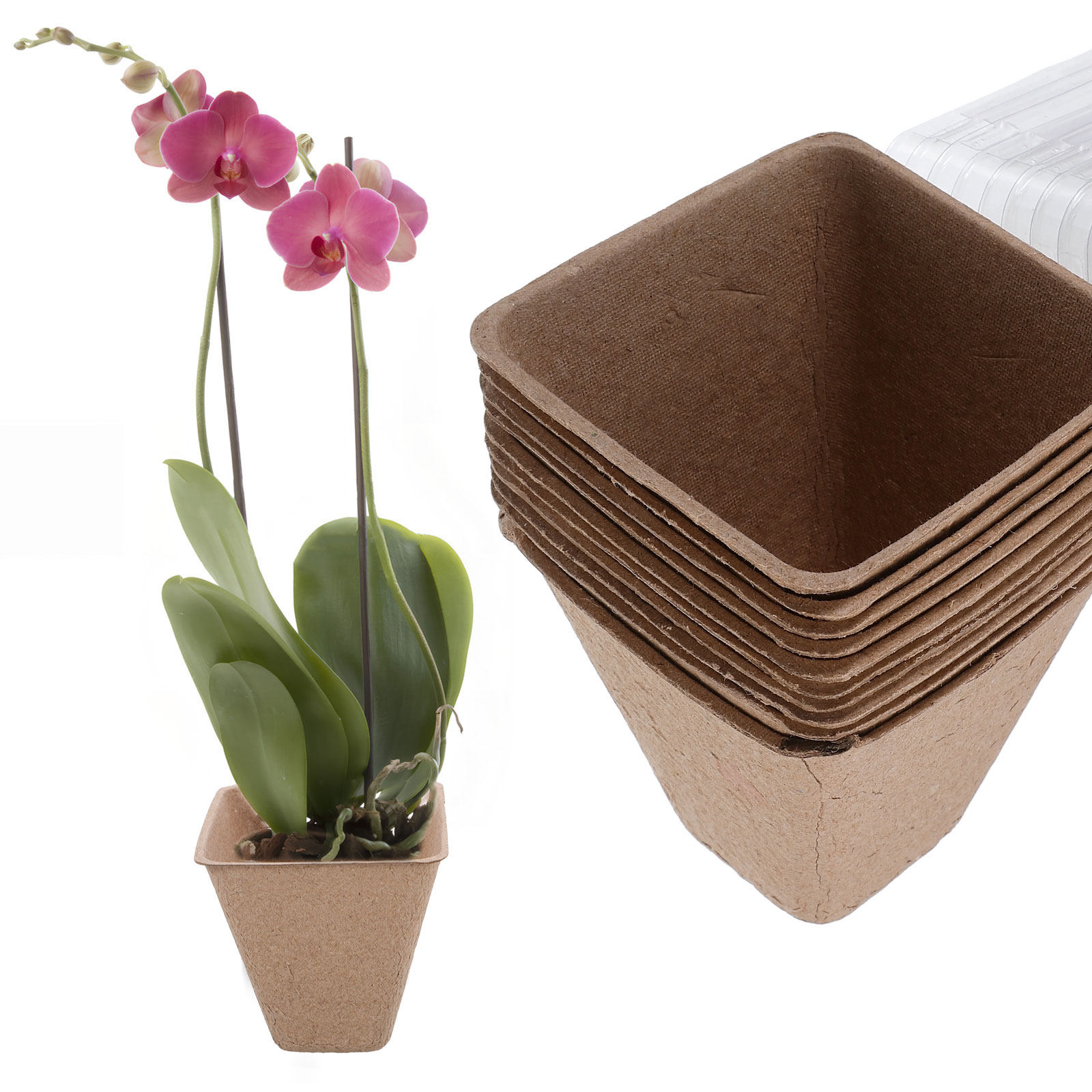 10-delige biologisch afbreekba - Humidity Dome Kit recensie en prijs
