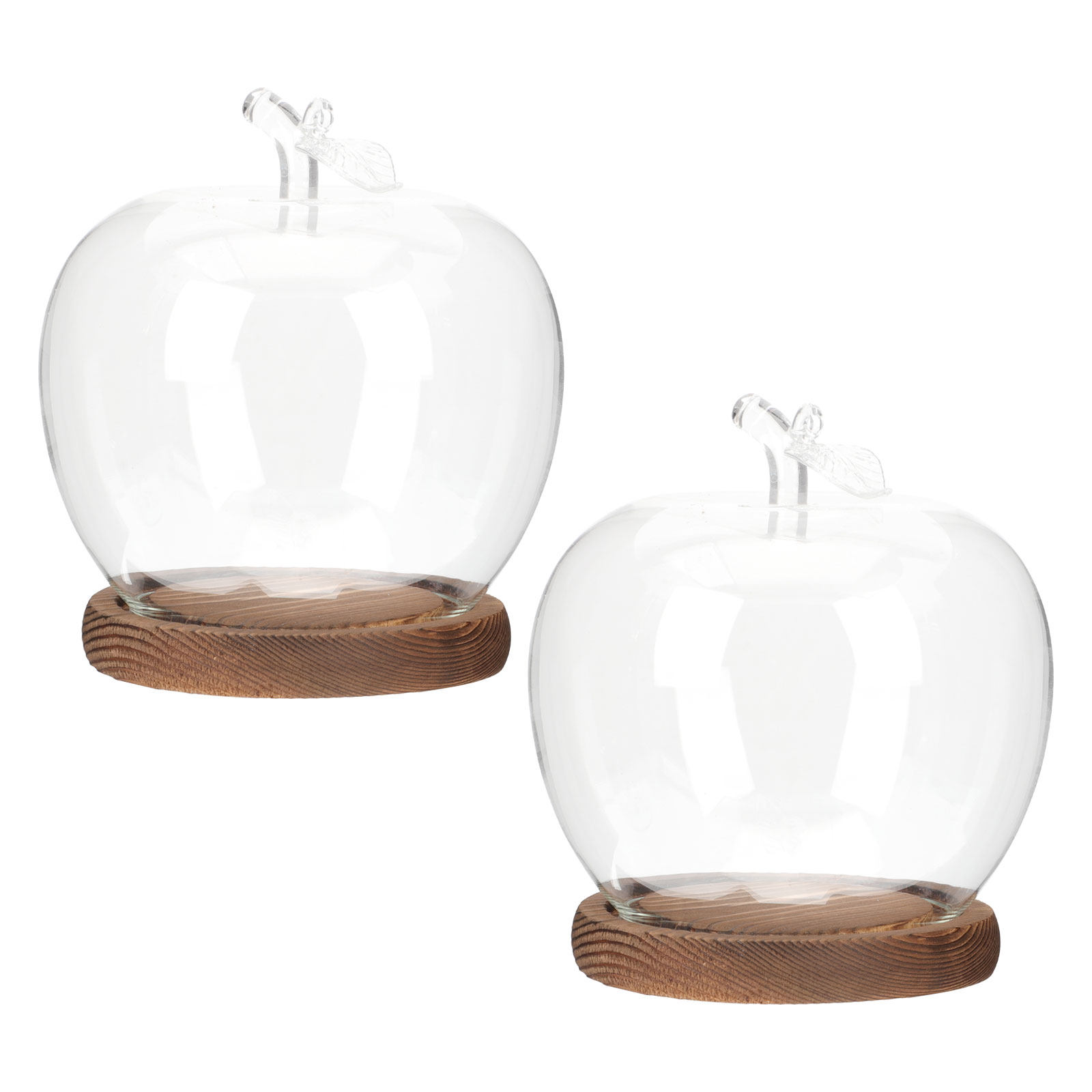 2 stuks glazen stolp met houte - Plastic Dome Clear recensie en prijs
